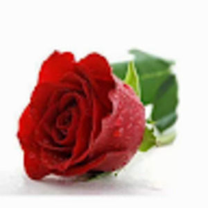 Meet your Posher, Kerenjimenez31@yahoo.com